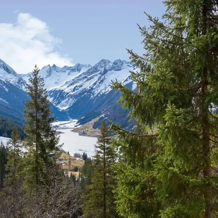 In Wald In Salzburgerland In Area Wald im Pinzgau