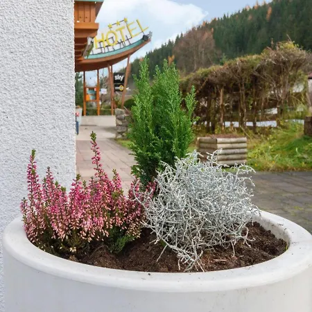 In Wald Near Zillertal Slopes *