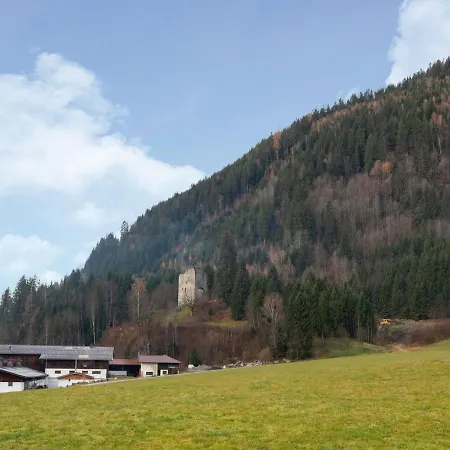 In Wald In Salzburgerland In Area Apartment *
