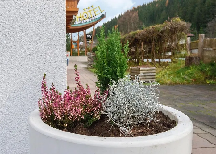 In Wald Near Zillertal Slopes *